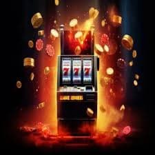 bet 566